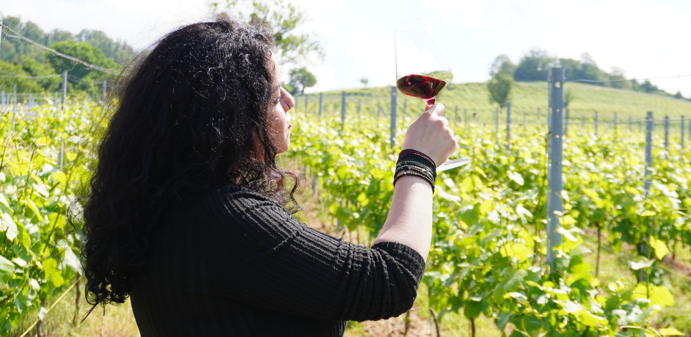 Frau betrachtet ein Glas Rotwein im sonnigen Weinberg.