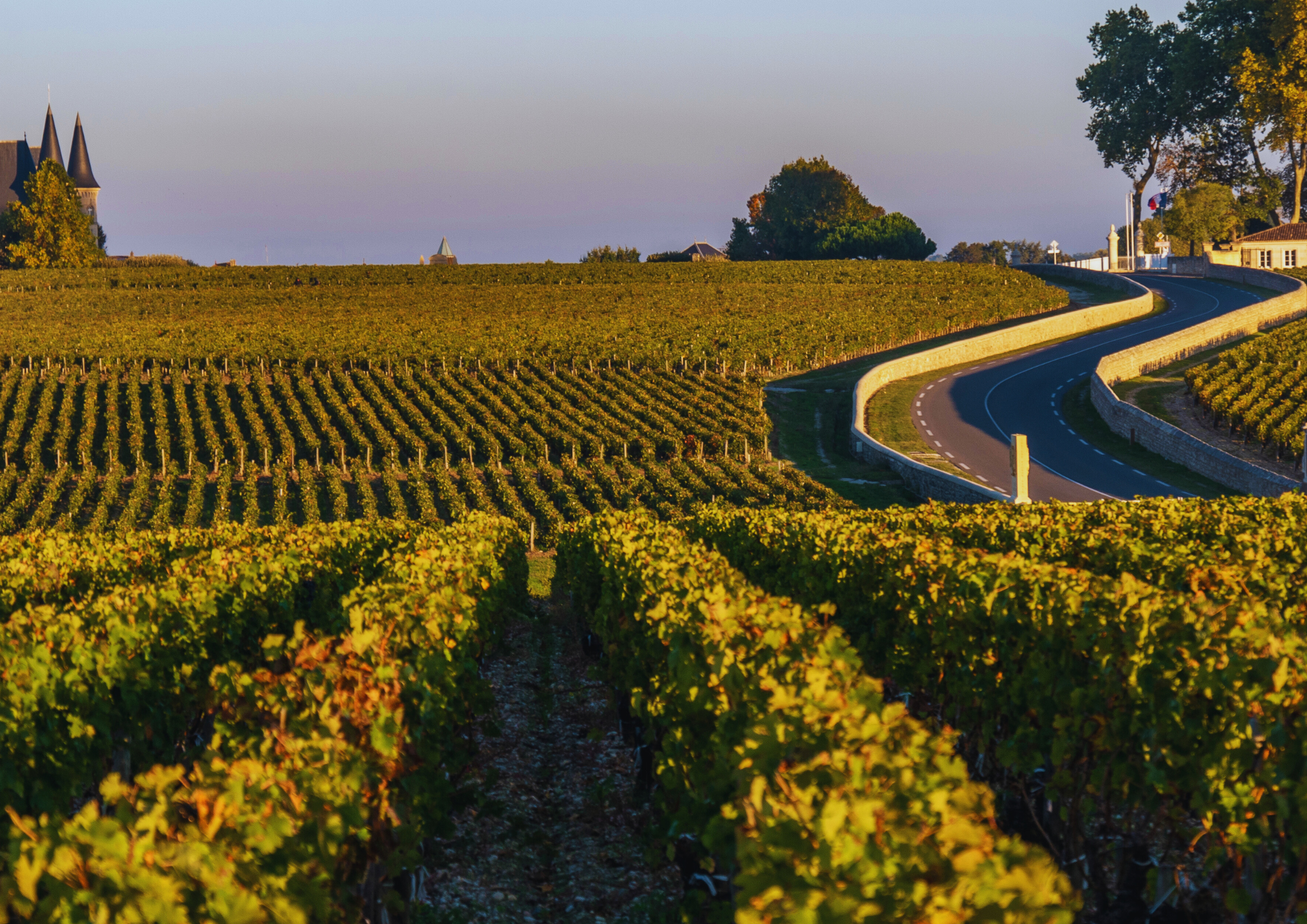 Kurvige Landstraße durch herbstliche Weinberge bei Sonnenuntergang in Frankreich.
