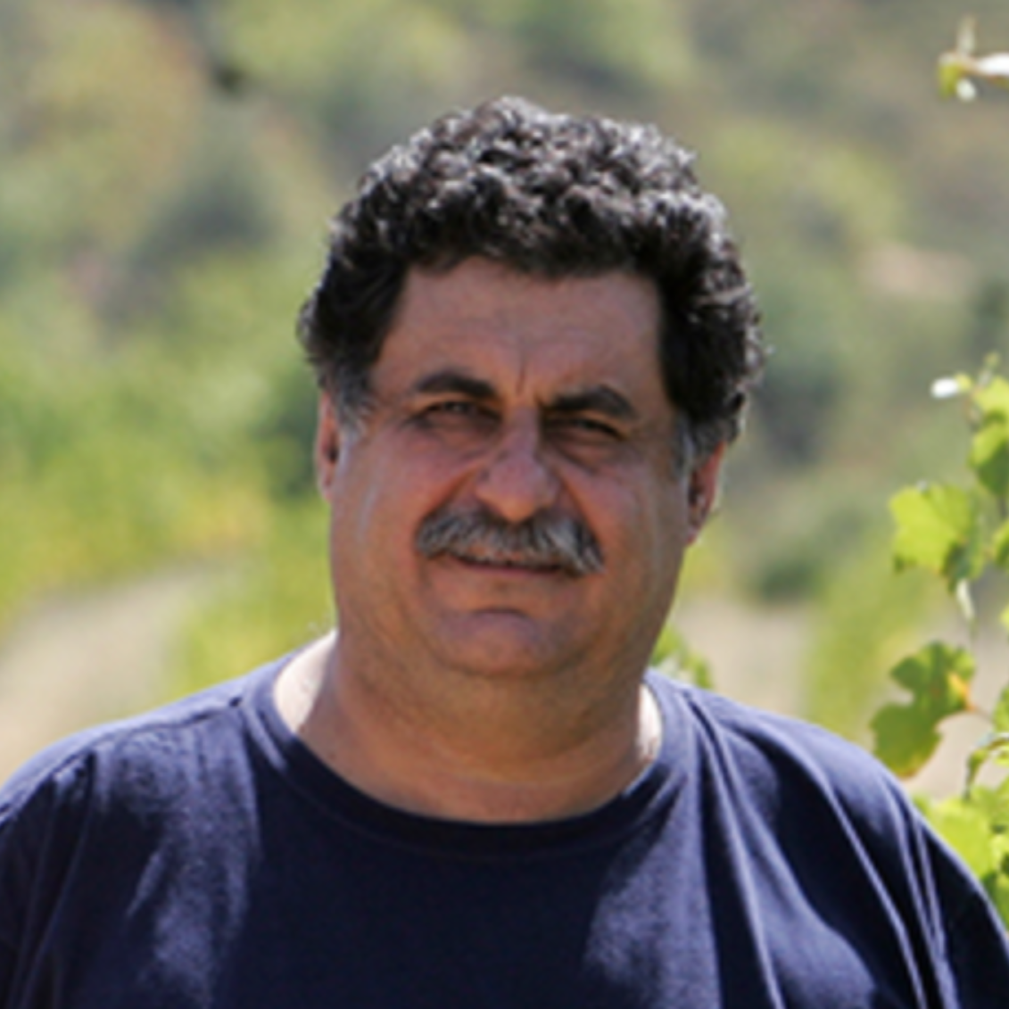 Mann mit dunkelblauem Shirt steht lächelnd im Weinberg bei sonnigem Wetter.