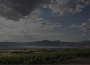 „Weinberge in Amyndeon mit See und weiter Berglandschaft“