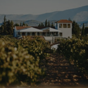 „Weingut Domaine Papagiannakos inmitten von Weinbergen vor einer Berglandschaft“