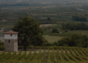 „Weinberge des Weinguts Kir-Yianni mit markantem Steinturm“