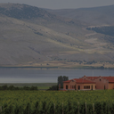 „Weinberge in Amyndeon mit Weingut, See und karger Berglandschaft“
