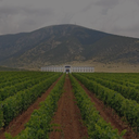 „Weinberge in Drama mit Weingut vor einer markanten Berglandschaft“