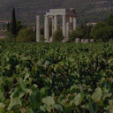 „Weinberg in Nemea mit antiken Tempelsäulen vor bewaldeter Hügellandschaft“