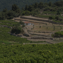 „Terrassierte Weinberge auf Samos mit Natursteinmauern und kleinem Winzerhaus“